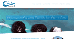 Desktop Screenshot of caladesipwds.com